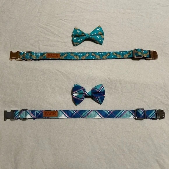 Pack Leashes dog collars with bows size medium NWOT - Picture 1 of 4
